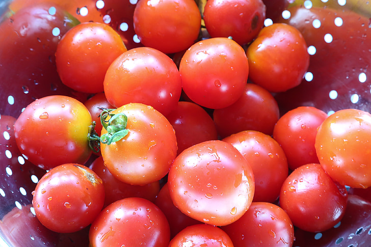 tomat, tomatid, punane, toidu, värske, taimne, põllumajandus
