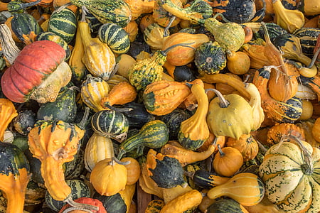 Kürbisse, Herbst, Orange, gelb, Kuerbis, Dekoration, Gemüse