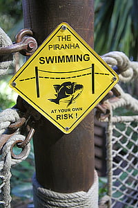 danger, poster, piranna, fish, tooth, predator, animal