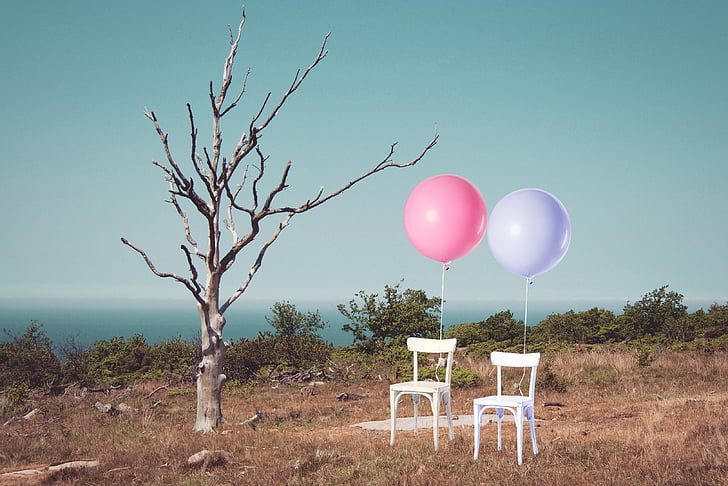 stoelen, twee, ballonnen, boom, een, bladloos, verbrand