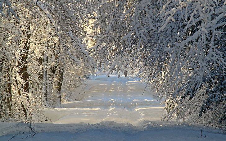 Winter, winterliche, Schnee, Schneelandschaft, verschneite, Schnee-Gasse, Schnee-Wiese