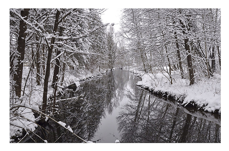 winterliche, Bäume, Fluss, Kälte