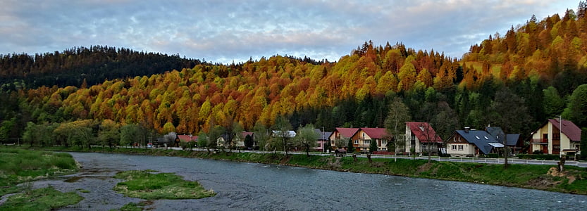 boom, water, landschap, Bergen, natuur, herfst