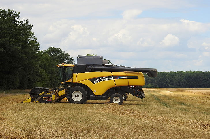 combine harvester, harvester, agriculture, vehicle, agricultural machine, grain harvest