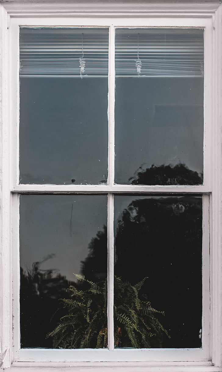 Windows, vidre, casa, casa, reflexió, arbres, blanc