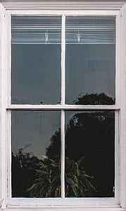 Windows, glas, hjem, hus, refleksion, træer, hvid