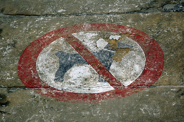 cães, Ban, proibição de cão, escudo, proibido