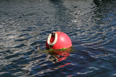 buoy, sea, fishing, water, float, sport, floating On Water