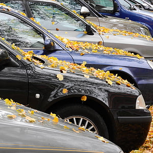 folhas amarelas, folhas no capô, as folhas em cima do carro, folhas de outono, folhas caídas, carro, veículo de terra