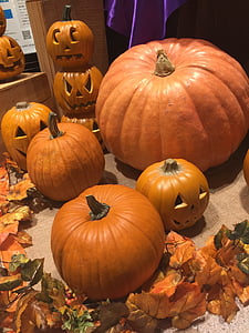 Halloween, pumpa, Orange, hösten, orange färg, säsong, oktober