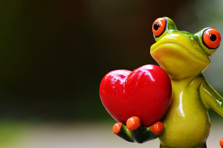 kjærlighet, Valentinsdag, positur, hjerte, morsom, frosk, dyr