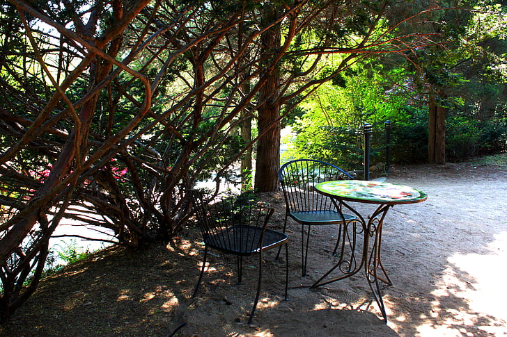 paisatge, descans, taula, fusta, natura, l'aire lliure, cafeteria