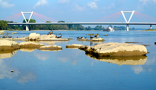 rhine, düsseldorf, bridge, river landscape, water, landscape, sky