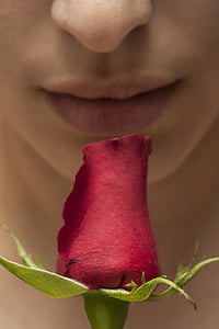 romantika, puķe, makro, closeup, lūpas, mīlu, sieviešu