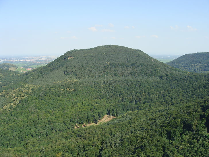 föhrlenberg, Pfälzerwald, Hill, Mountain, skov, træer, Se