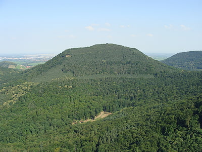 föhrlenberg, Pfälzerwald, Hill, Mountain, skov, træer, Se
