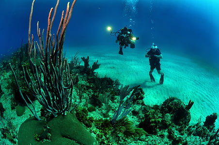 more, Ocean, vody, potápači, pod vodou, svetlá, fotoaparát