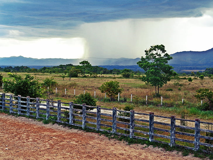 déšť, krajina, strom, Casanare, Kolumbie