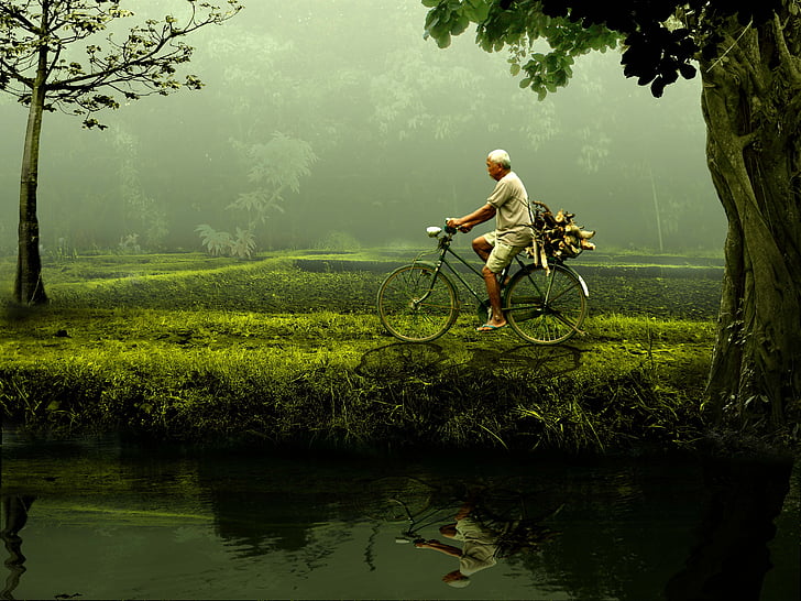 cykel, cykel, cyklist, græs, mand, tåge, udendørs