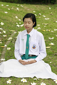 noia, meditar, budisme, meditació, seient sastre, budista, wat