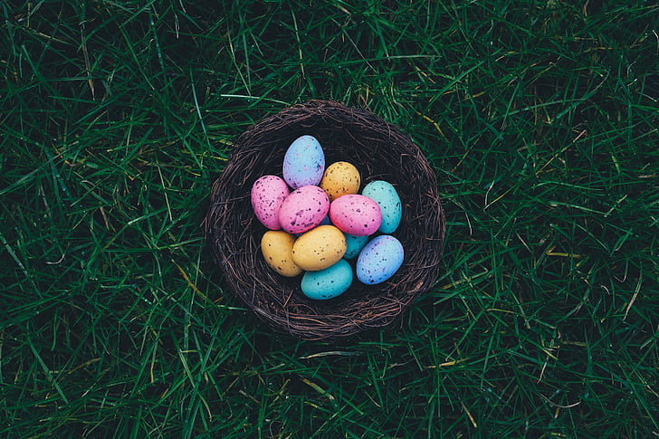 huevos, huevos de Pascua, búsqueda de huevos de, huevos de Pascua, cesta, canasta de Pascua, puntos