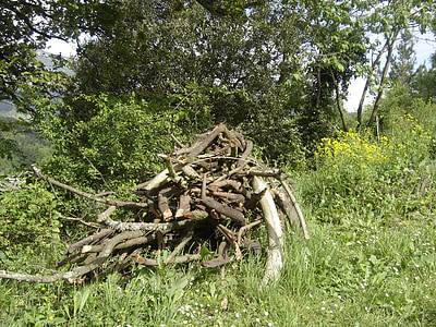 Грийн, дървен материал, природата, багажника, фон, Euskadi, селски
