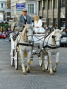 Wien, tränare, tur med hästekipage, hästar, häst, hästdragen vagn, barn