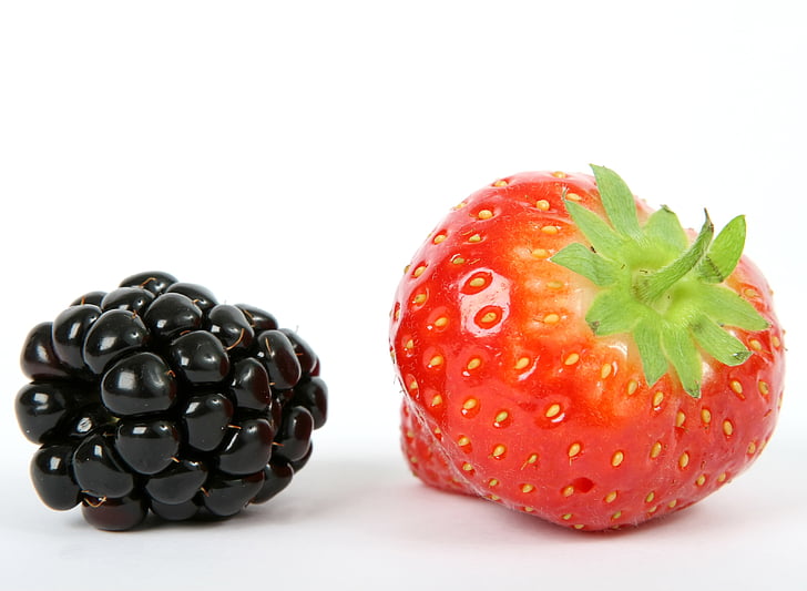 Berry, svart, BlackBerry, blåbär, frukost, närbild, färg