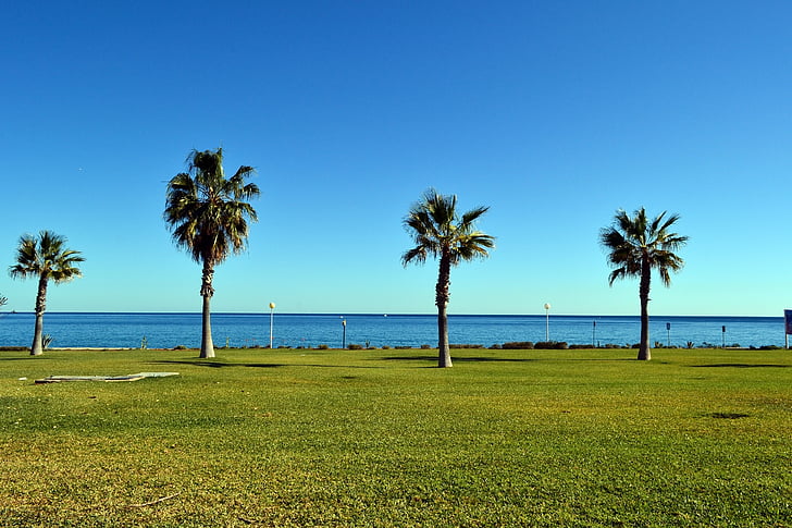 Landschaft, Palm, Mojacar, Spanien, Resort, Küste, Sommer