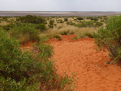 Outback, sfeer, Bush, natuur, struiken, rood, zand