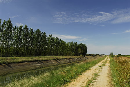 caminho, Horizon, canal, árvore, França, natureza, cena rural