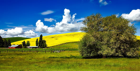 Idaho, çiftlik, Panorama, alanları, çayır, tarım arazisi, gökyüzü