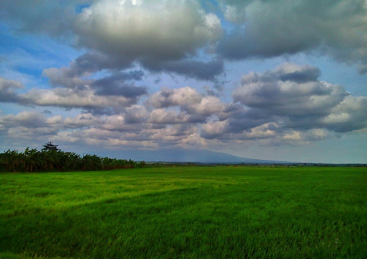 zelena, oblak, narave, modra, pogled