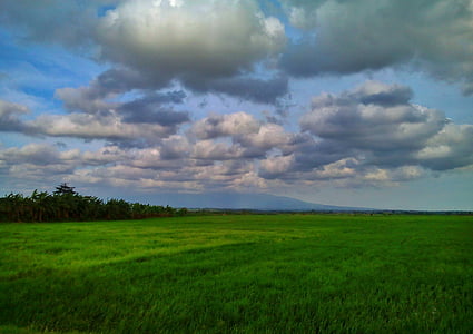 Yeşil, bulut, doğa, mavi, Görünüm