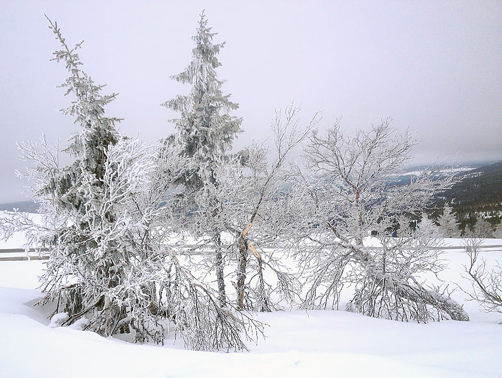 景观, idre, 山, 冬天, 雪, 感冒, 白雪皑皑