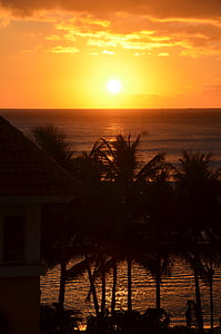 solnedgang, Hawaii, håndflatene, palmer, trær, solen, ro