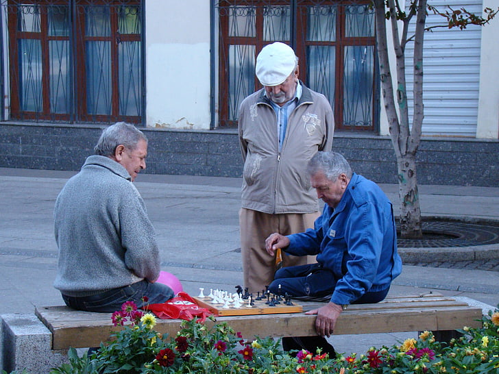 joc, escacs, homes, homes més grans, vellesa, persones, adult sènior