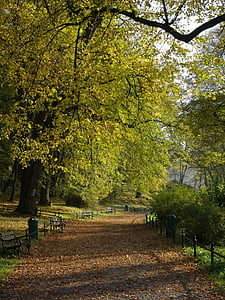 Park, yeşillik, Ekim, doğa, geçit, sokak, ara parça