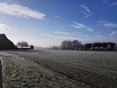 hoarfrost, blue sky, field, trees, rural Scene, winter, nature