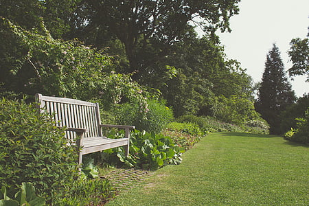 garden, nature, tree, bench, outdoors, grass, park - Man Made Space