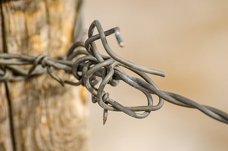 wire, fence, barbed wire, ranch, rustic, barbed, protection