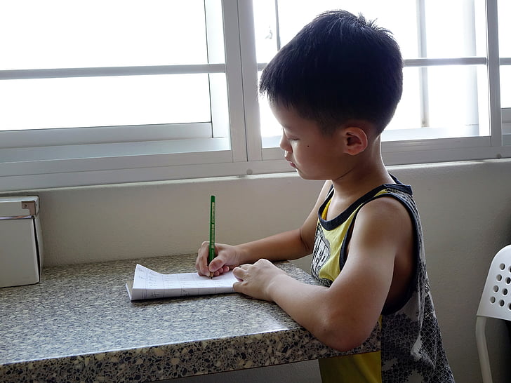 writing, boy, child, student, kid, homework, pencil