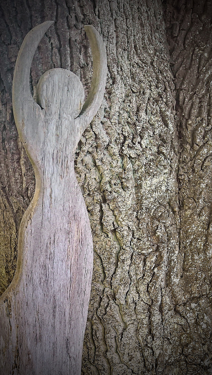oak, holzfigur, art, machined oak wood, human body, log, bark