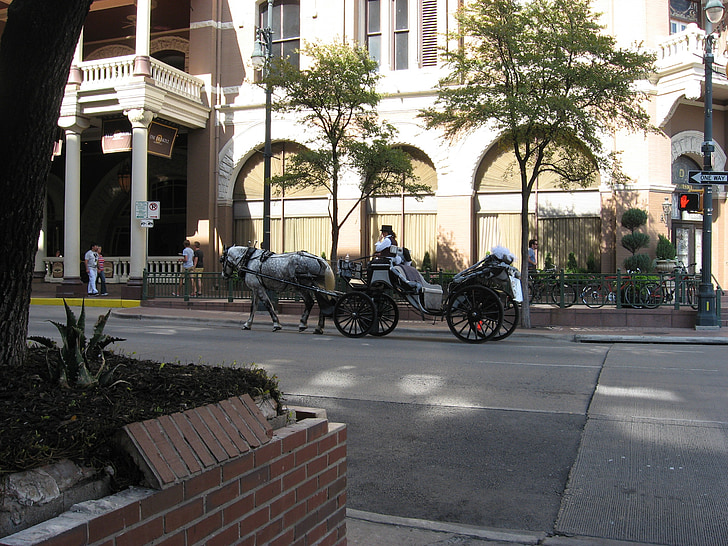 häst, buggy, romantiska, tränare, verksamhet, Austin, Texas