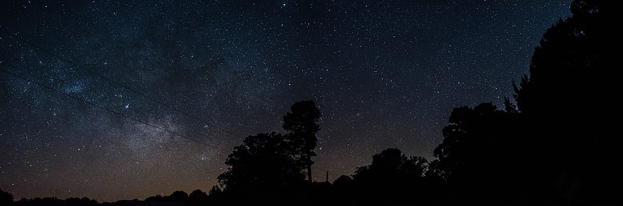 silhouette, tree, nighttime, sky, star, stars, Milky way