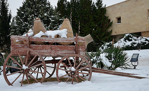transport, Rider, träd, utanför, snö, vinter, hästvagn
