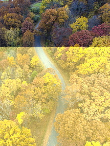 Aerial, photographie, gris, route, moyen, jaune, Purple