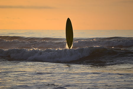 surfing, sunset, surf board, serenity, surfboard, sea, beach