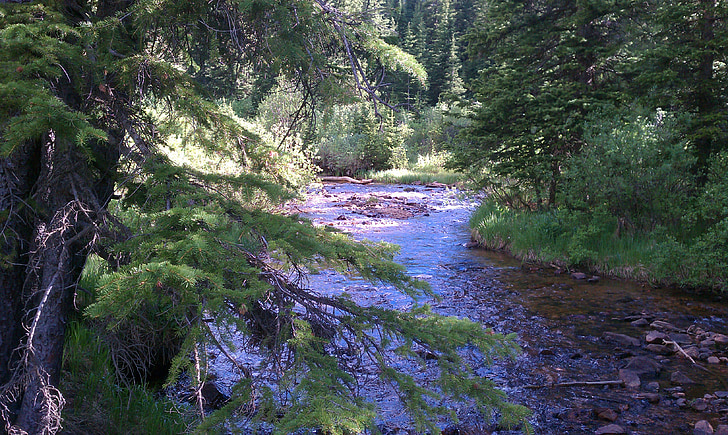 Stream, vesi, vesiputous, Metsä, Luonto, veden tausta, River