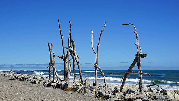 Hokitika strand, kust, strand, Nieuw-Zeeland, Zuidereiland, zee, hout
